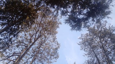 Photos of p&uacute;blico Park