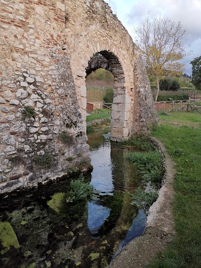 Baptistery of San Giovanni in Fonte