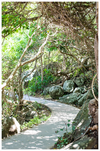 Oceanview Track - Visual