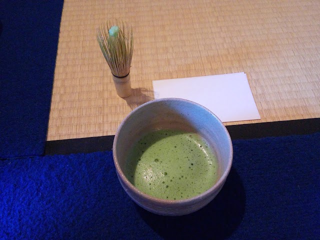 Tea Ceremony Camellia