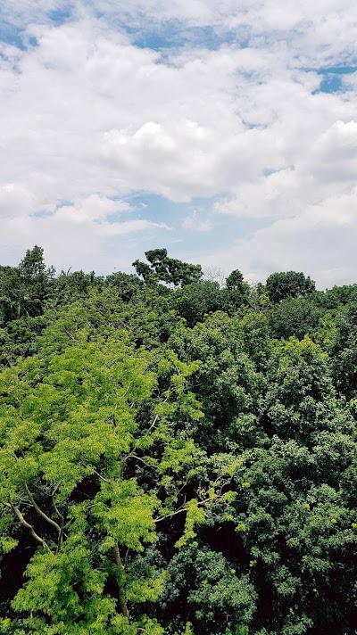 Photos of Probortok Hill
