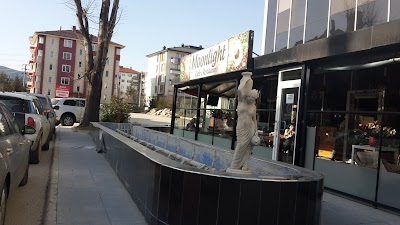 Photos of M