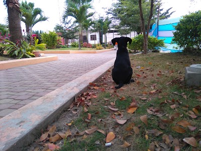 Photos of Charapoto Park
