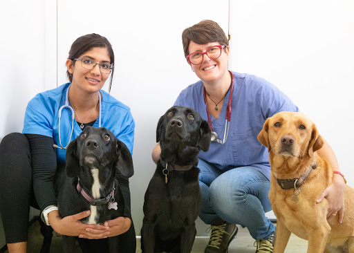 Midhurst Vets - Visual
