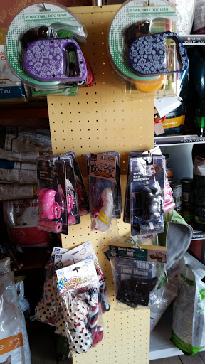 NYC Pet Hotel &Boutique - Thumbnail