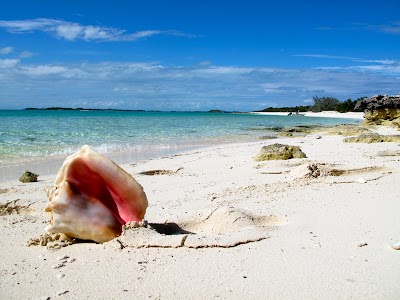 Photos of Staniel Cay Yacht Club