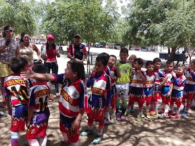 Photos of Barrio Prados Del Norte
