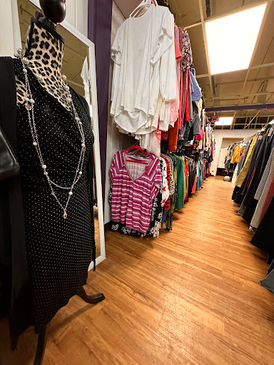 Misfit Consignment - Visual