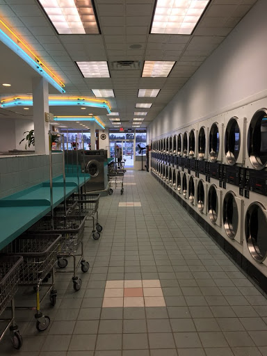 516 Laundry Care - Thumbnail