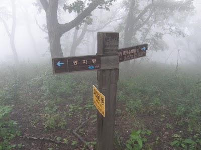 Photos of 기룡산