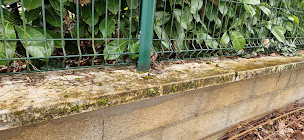 Photo n°5 de BEAUNE NET à Beaune (Service de nettoyage et d'entretien)