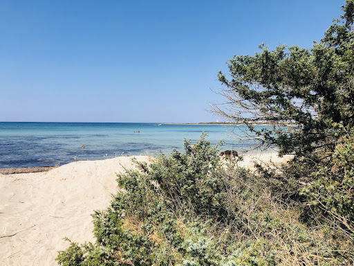 Spiaggia di Palude del Conte