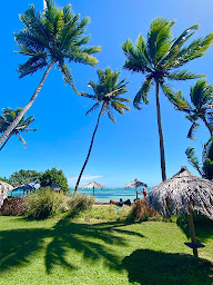 Photo n°90 de Lili au Lagon - Restaurant Le François à Le François (Restaurant)