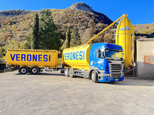 Trasporti Romagna Spa - Visual