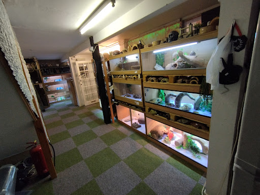 Axolotl And Reptile Rescue And advice UK