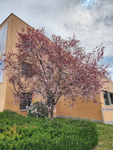 Urgencias Hospital Viamed Los Manzanos