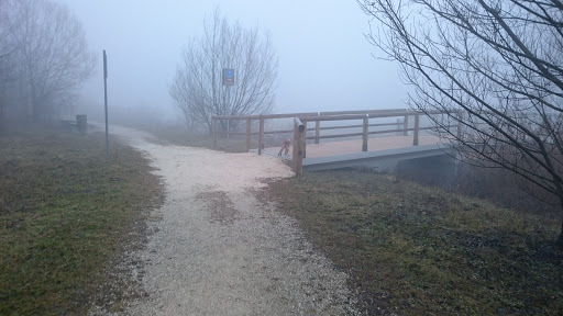 Bosco di Campalto - Thumbnail