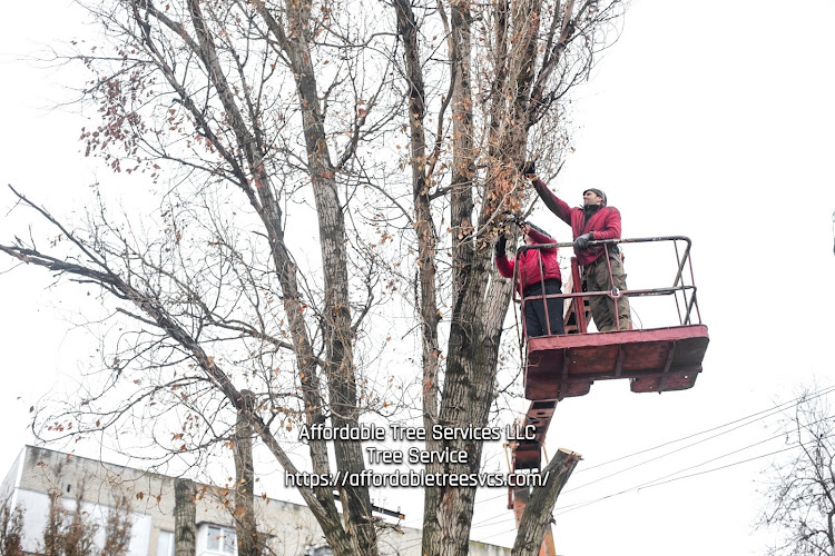Affordable Tree Services LLC
