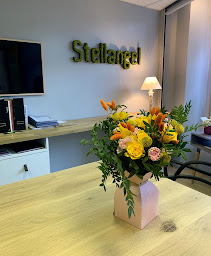 Photo n°10 de Stellangel Aravis à Thônes (Expert immobilier)