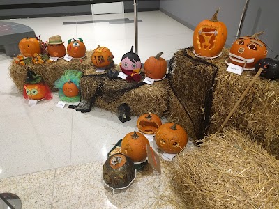 Photos of Downtown Chatham Centre