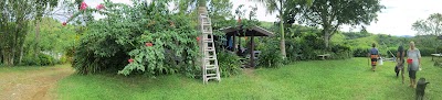 Photos of Teitei Homestay Fiji