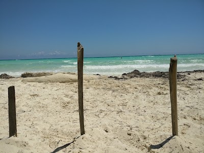 Photos of Playa Las Gaviotas