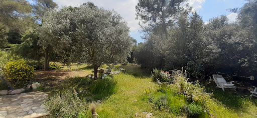 Naturopathe réflexologue Nans-Les-Pins - Joyce Blazo Gallery - France