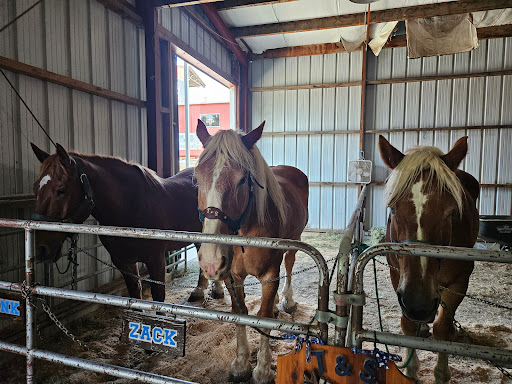 Kootenai County Fairgrounds - North Idaho State Fair & Rodeo - Thumbnail