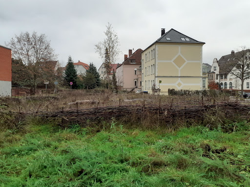 Blühwiese/Belüftungsschneise - Thumbnail