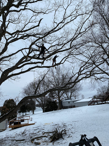 Lopez tree and Landscape Services - Thumbnail