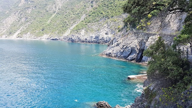 Manarola