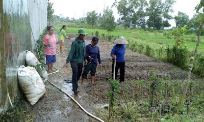 Photos of Rumah Pangan Organik Wonder Farm Organic