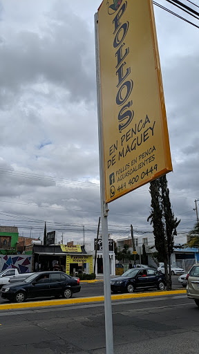 Pollos en Penca Aguascalientes - Thumbnail