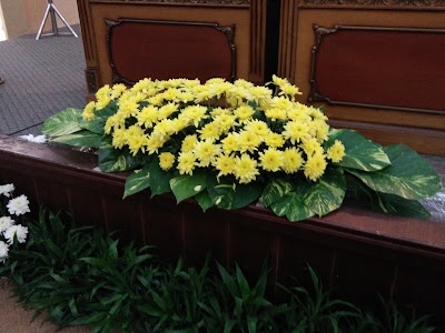 Photos of Zhyflowers ( galery bunga segar)