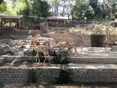 Photos of Yangon Zoological Garden