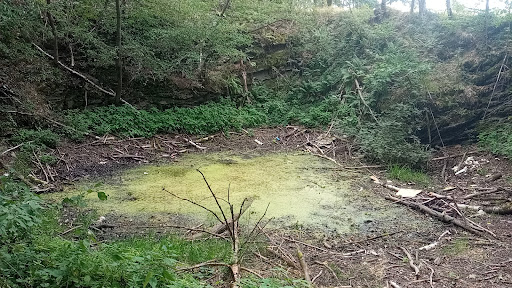 Silbersee / ehem. Steinbrüche - Thumbnail