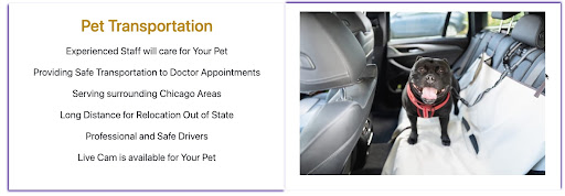 DG Speciality Transportation - Thumbnail