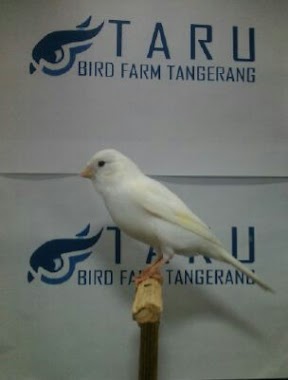 Taru Bird Farm, Author: akhirnya kutau