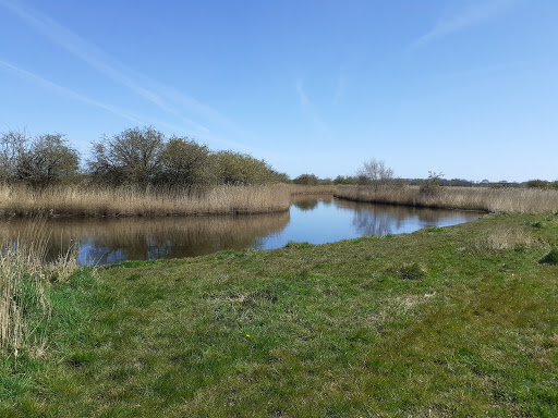 Martham Broad Nature Reserve - Thumbnail