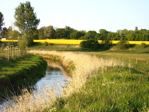 Parthenaue Sehlis - Thumbnail