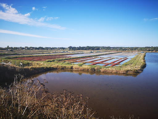 ADMR Ile de Noirmoutier - Thumbnail
