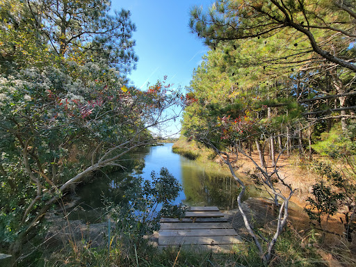 Gordons Pond State Park Area Gallery - United States