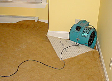 AAA Drying photo