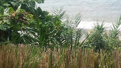 Photos of Manga Soa Lodge