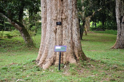 park