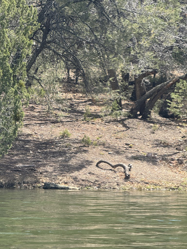 Bear canyon - Thumbnail