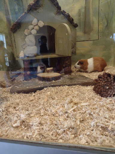 Aquarium Gift Shop - Thumbnail