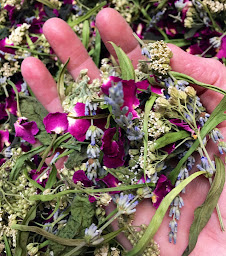 Photo n°19 de Gîte Nature, havre de paix au coeur de la nature : Les Jardins d'Yzorche à Argentat-sur-Dordogne (Réserve naturelle)