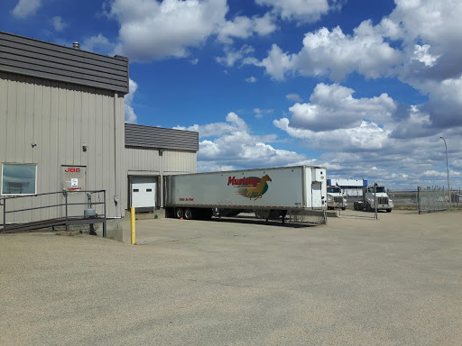 JBL Cartage - Visual