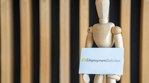 The Employment Solicitor